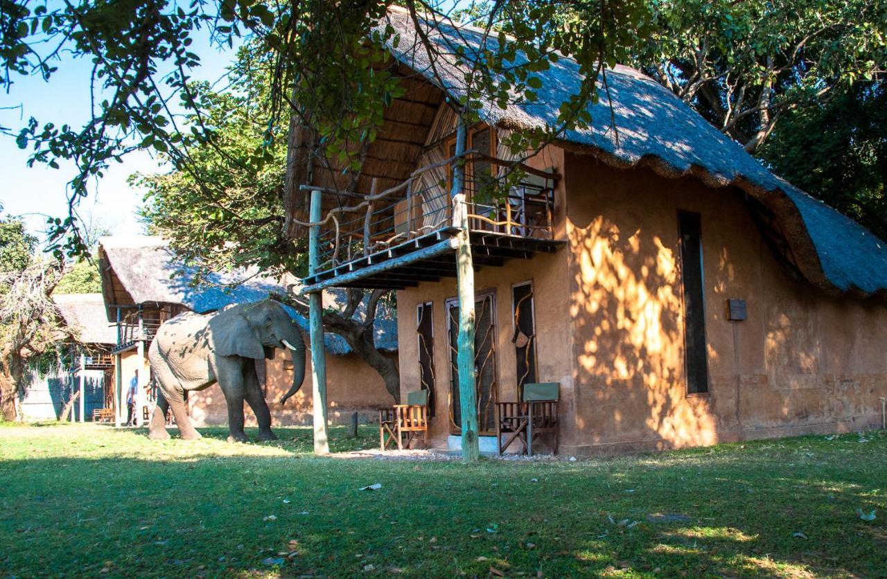 Track And Trail River Camp Kakumbi Exteriér fotografie